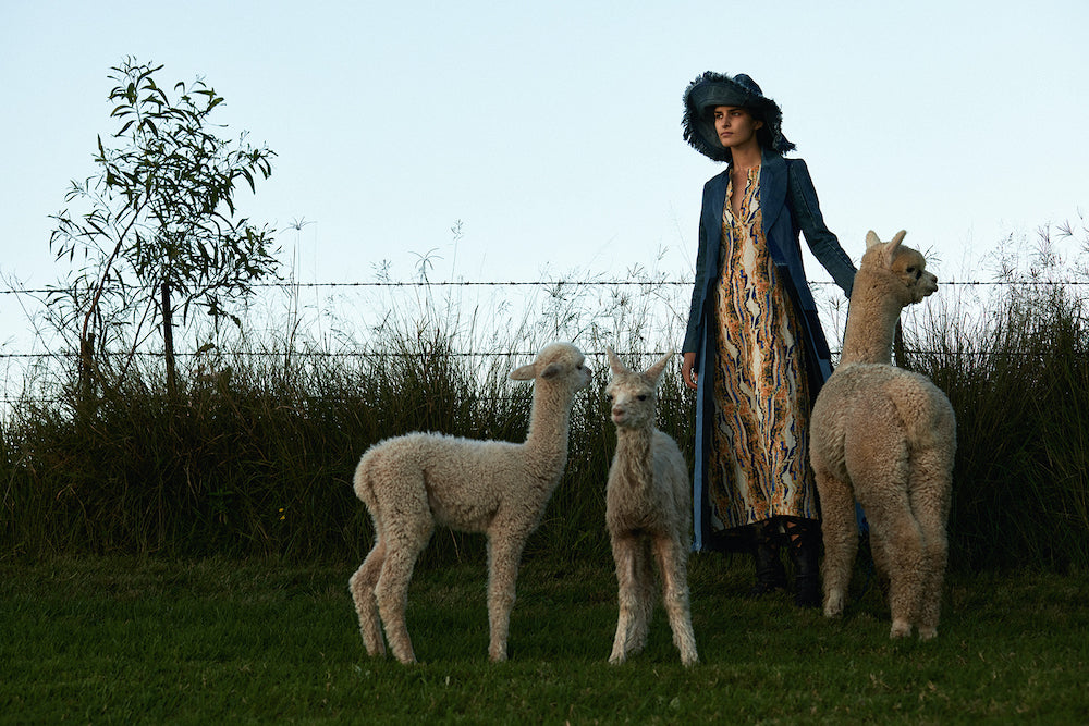 Conscious Circularity