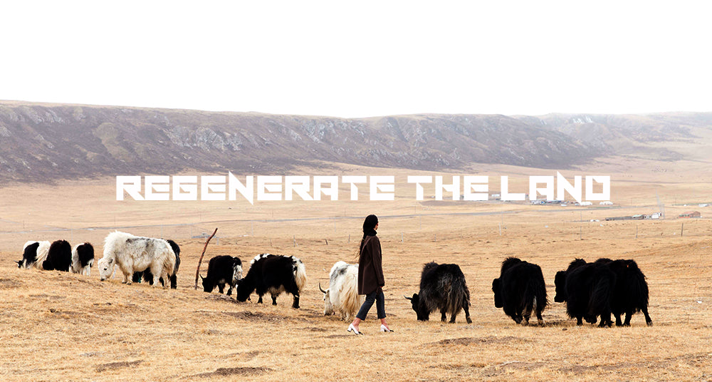 No.24 Shokay Partnership